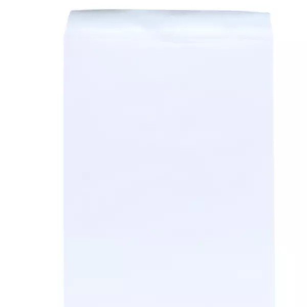 SOBRE BOLSA OFI. 13 - IA0313 BOND BCO. PC 60KG.PZA